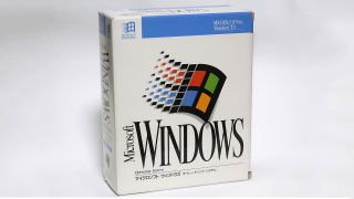 Windows 3.1 