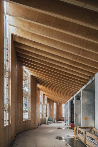 greenwich design district wooden ceiling