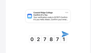A graphic illustrating autofilling verification codes in iOS 17 Safari