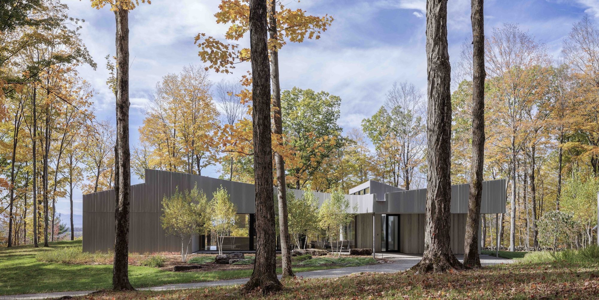 This remarkable forest house was inspired by oak leaves
