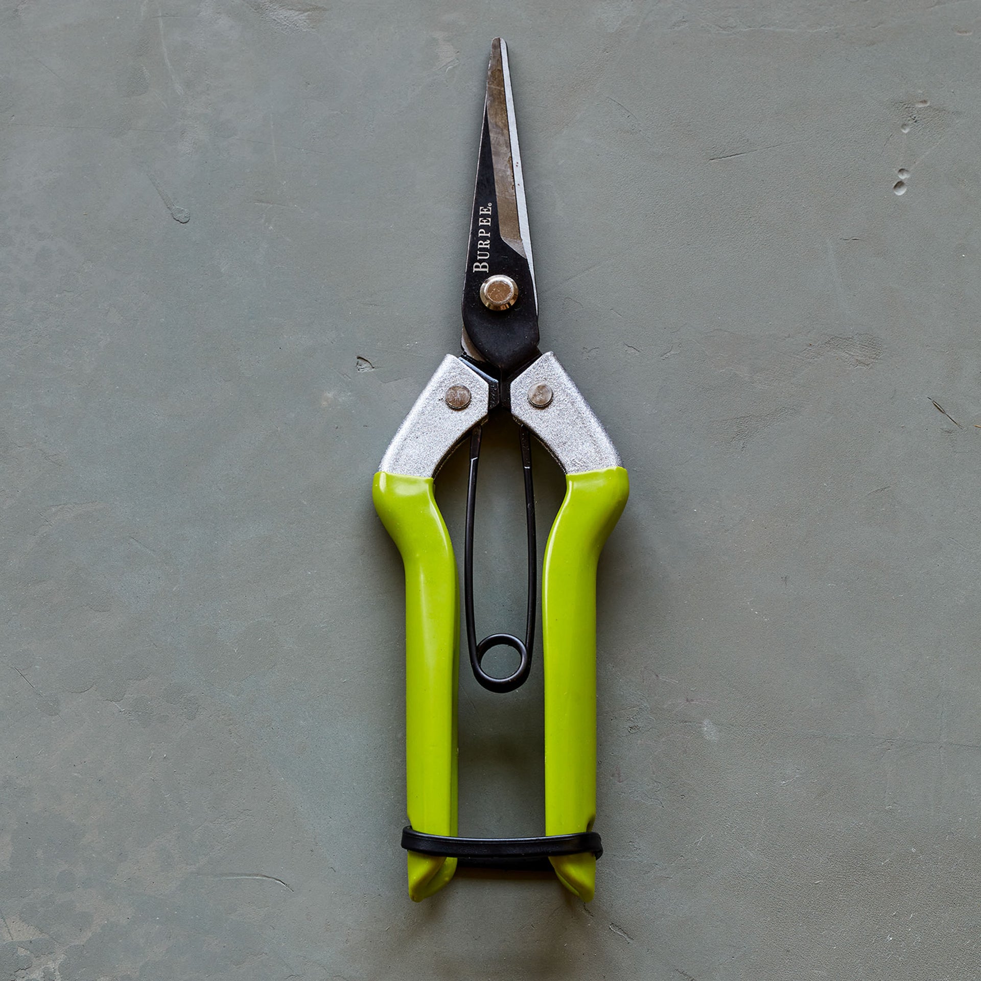 Burpee Cr725 Garden Pruning Shears - 1 Pruning Shear