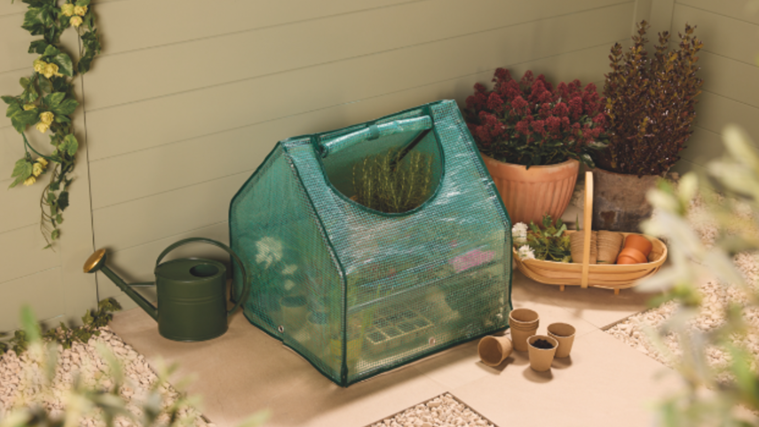 Aldi growhouse on a garden patio.