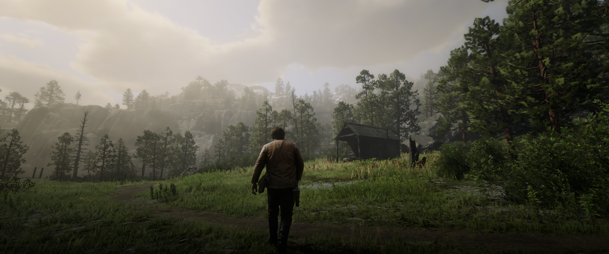Red Dead Redemption 2 ultrawide