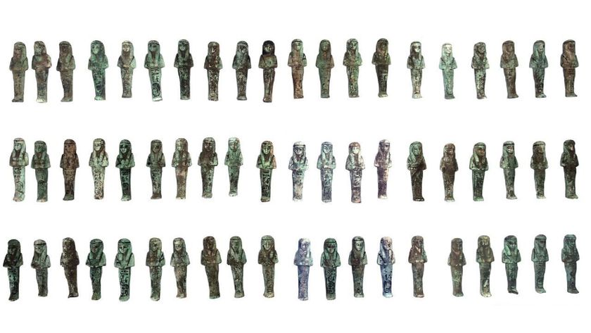 Dozens of shabti figurines lined up against a white background