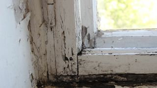 Rotting wooden window frame