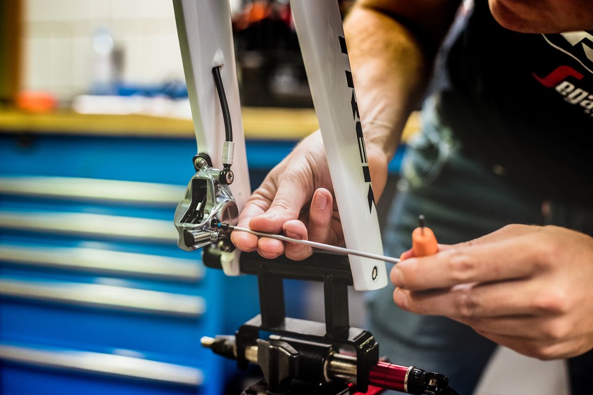 Mads Pedersen's World Champion Trek Madone