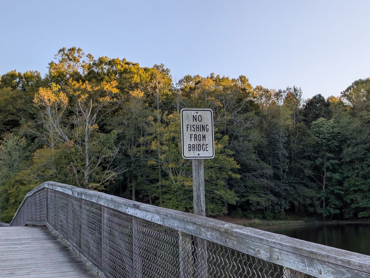 Google Pixel 9 Pro Fold camera samples
