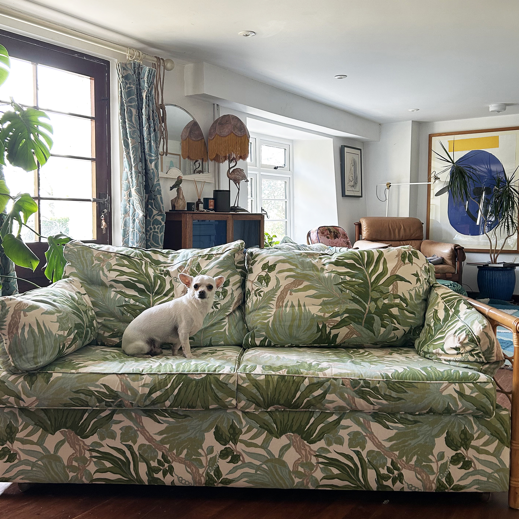 green patterned sofa with a small white dog sat on it