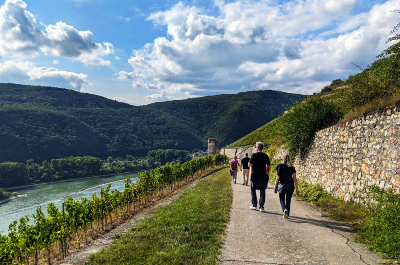 AmaWaterways river cruise