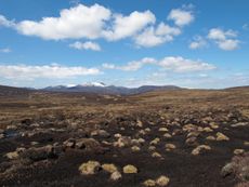 A view across to Lochnagar from the peat surrounding landscape.