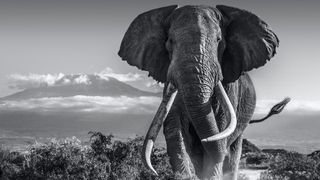 David Yarrow announced as Super Stage speaker at The Photography Show