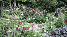 Flower beds full of red, pink, and white blooms at the Chelsea Flower Show