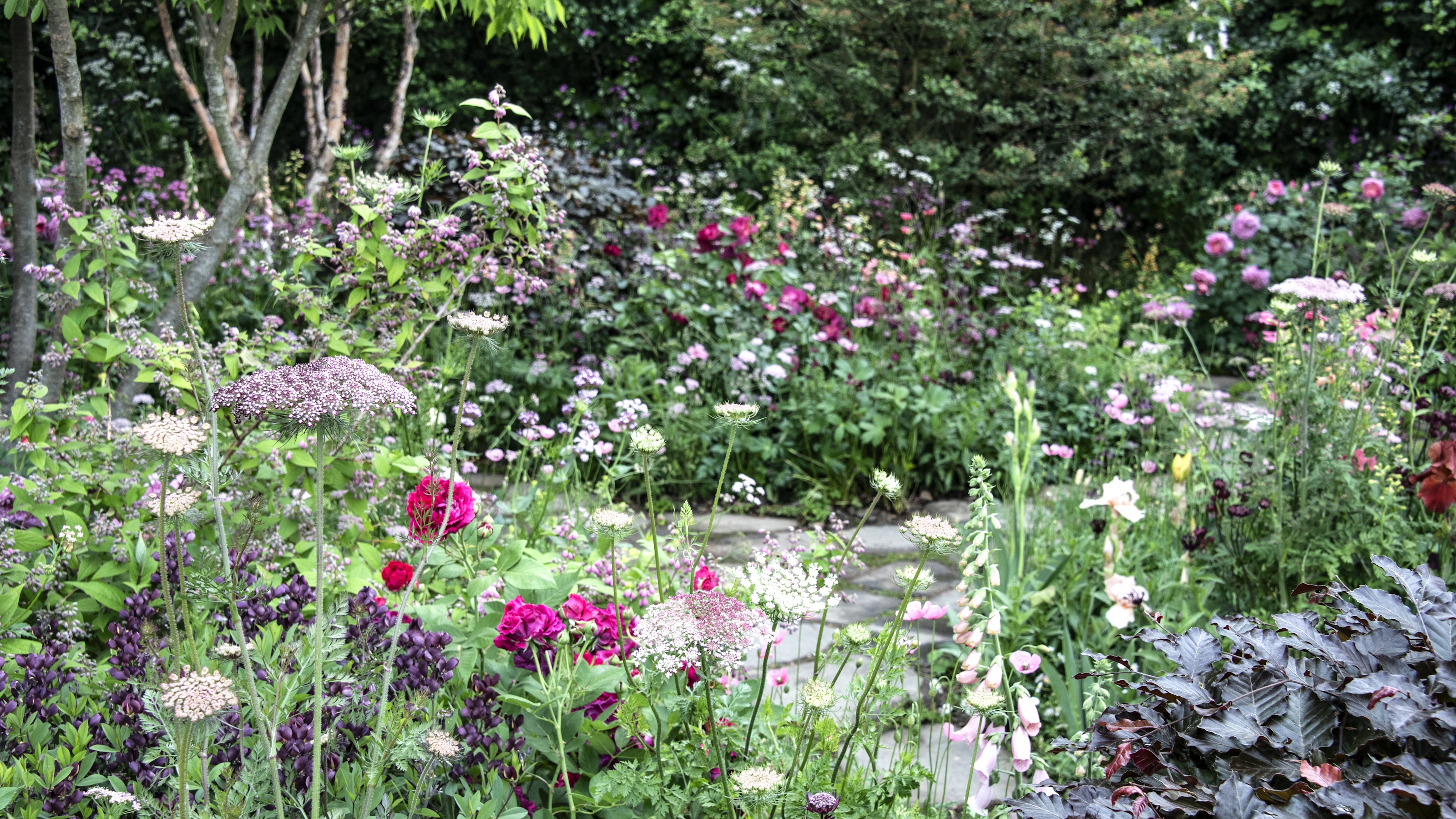 Flower beds full of red, pink, and white blooms at the Chelsea Flower Show