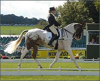 burghleybhoybdmain.jpg