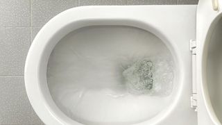 Flushing toilet to show how to clean toilet stains