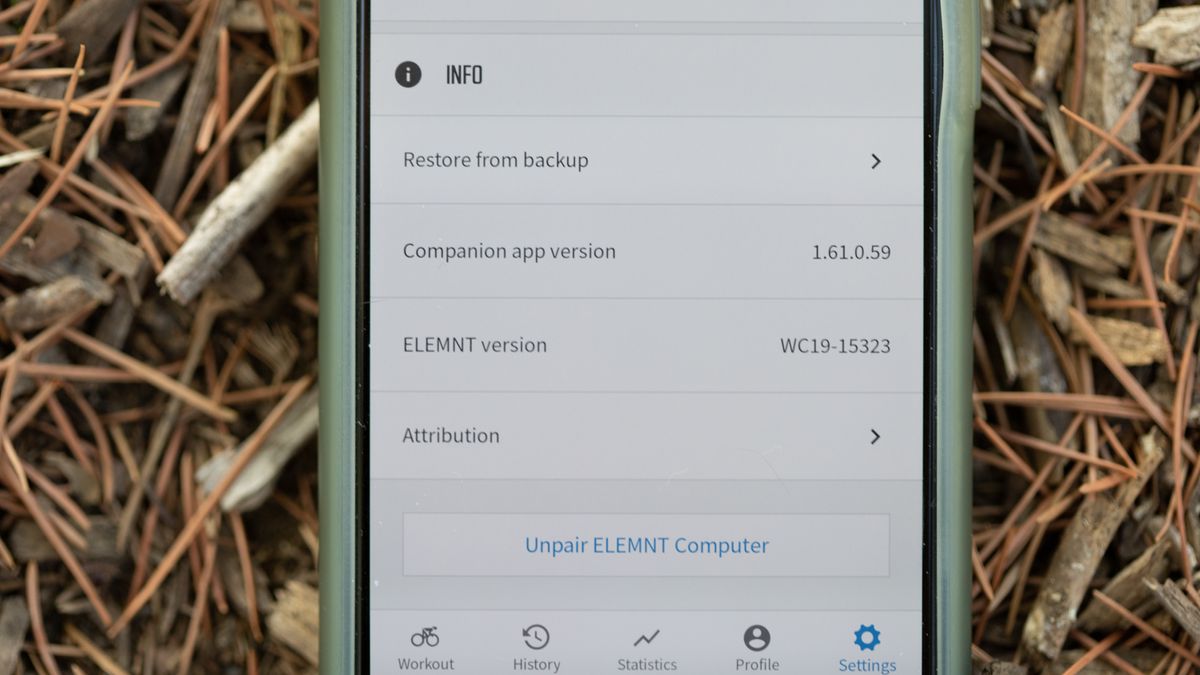 Wahoo Roam v2 restore from backup