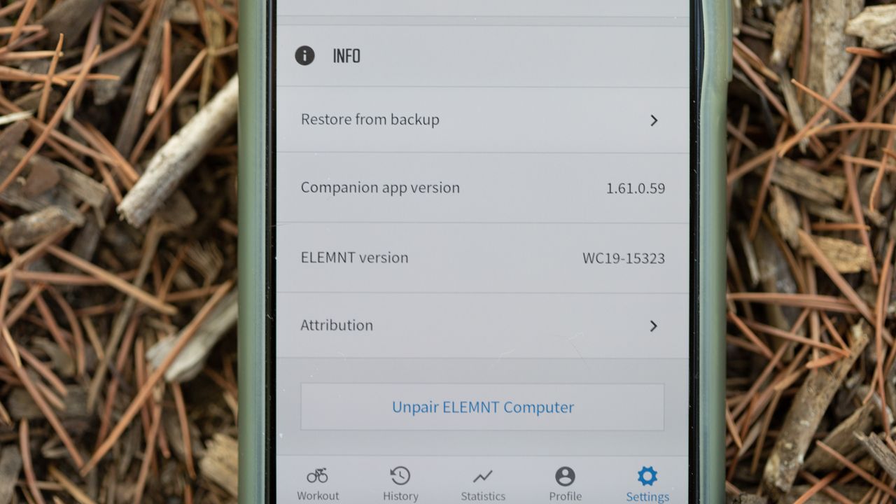 Wahoo Roam v2 restore from backup