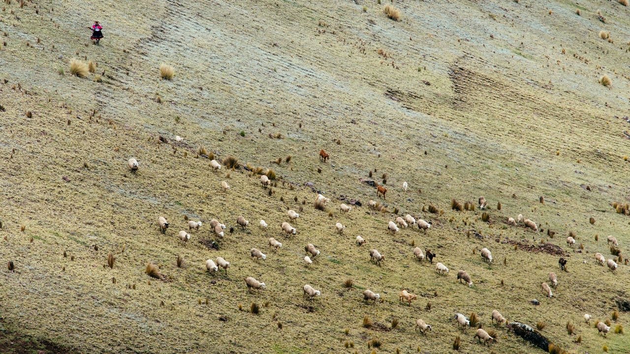 Lares and the Sacred Valley with Mountain Lodges of Peru