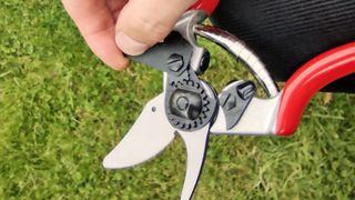 Felco 6 Bypass Pruner being tested by writer