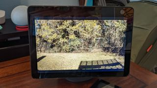 Amazon Echo Show 10 Backyard