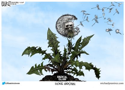 Political cartoon U.S. Radical Islam spreading