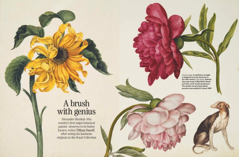 Spread from Country Life November 26, 2025