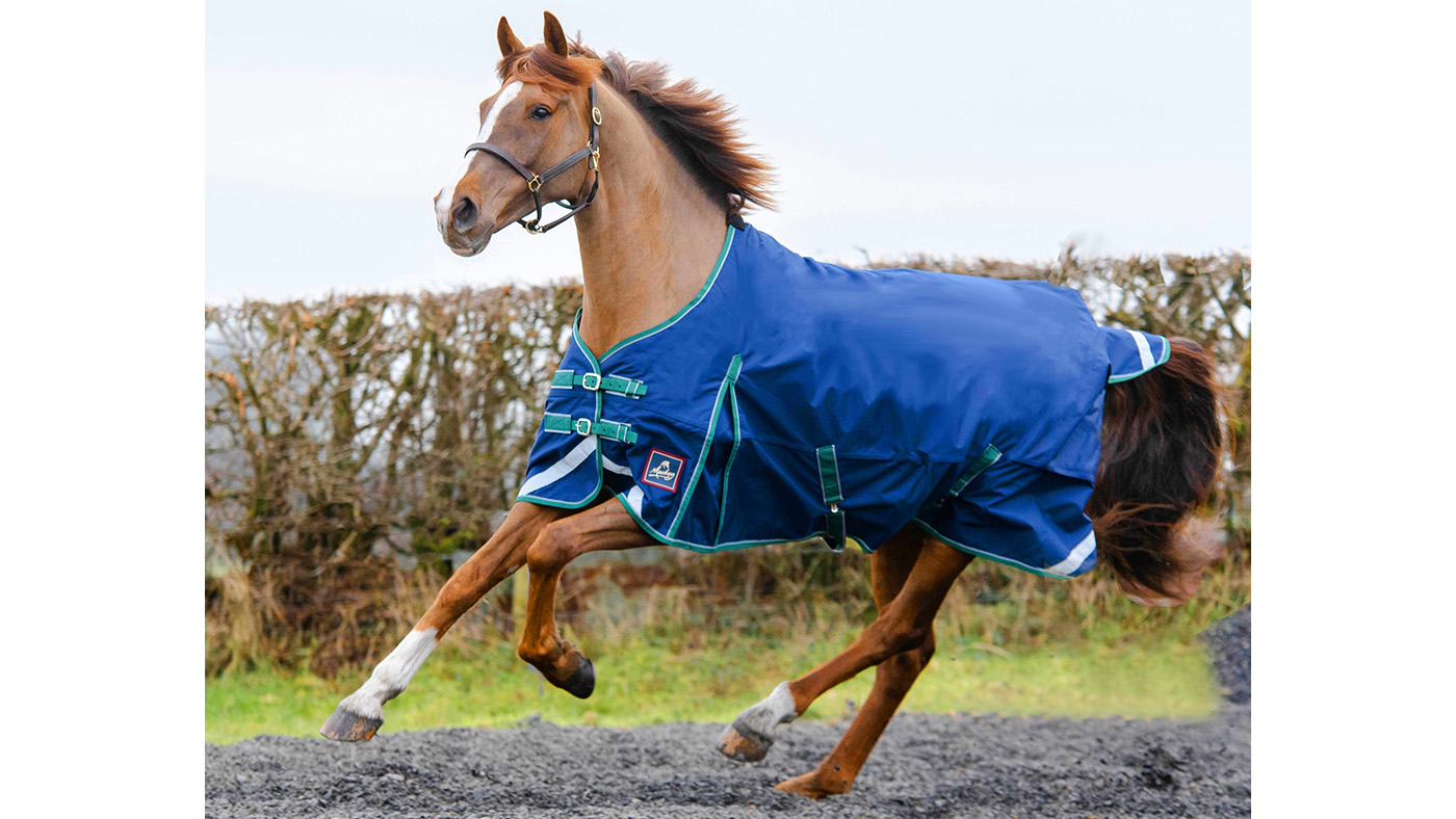 Mackey Equi-sential turnout rug