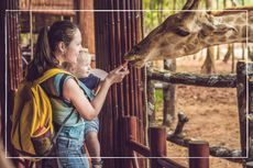 Mother and young child feeding a giraffe at a zoo