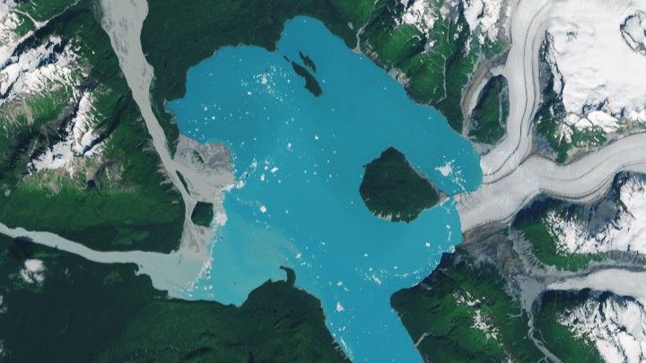A satellite photograph of Alsek Lake and the new island of Prow Knob as Alsek Glacier retreats.