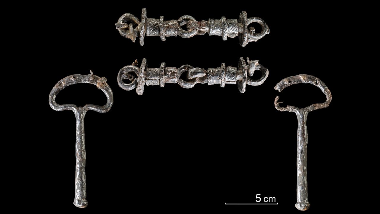 A rare horse bridle that has two side handles with which the rider could guide the horse.