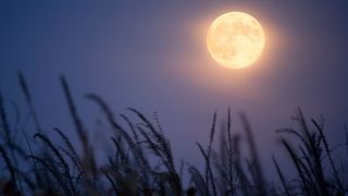 Harvest Moon meaning: Stock photo