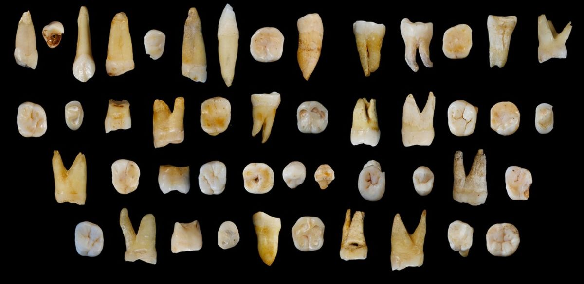 Scientists discovered 47 teeth from modern humans in Fuyan Cave in southern China&#039;s Hunan province that date back at least 80,000 years.