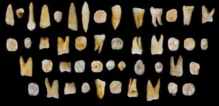 Scientists discovered 47 teeth from modern humans in Fuyan Cave in southern China's Hunan province that date back at least 80,000 years.