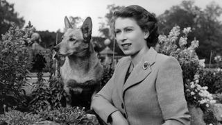 Queen Elizabeth II with a Corgi in 1952
