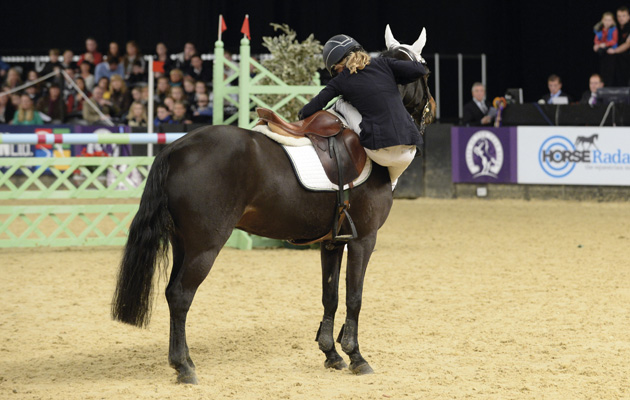 HOYS gallery 10