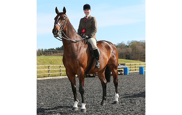RIHS Amateur Heavyweight Hunter Class WINNER&amp;#8232;31&amp;#8232;BOSS&amp;#8232;LUCINDA MARTIN