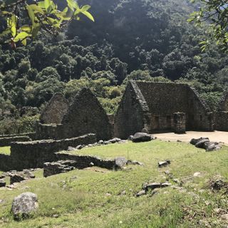 The jungle towers behind the ceremonial stone complex at Chachabamba.