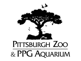 Negative space: Pittsburg Zoo