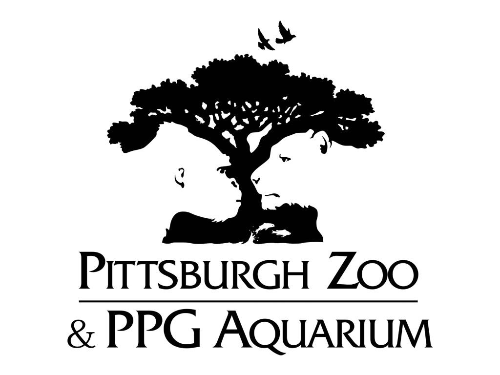 Negative space: Pittsburg Zoo