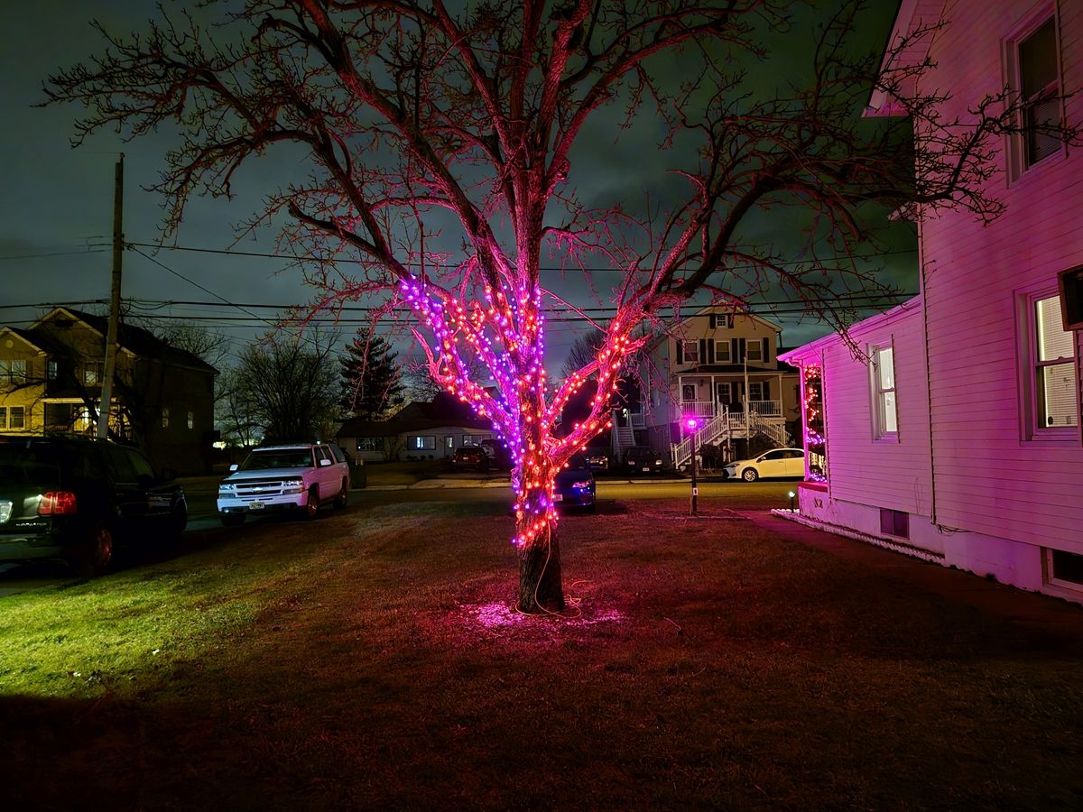 Samsung Galaxy S24 Plus camera sample.