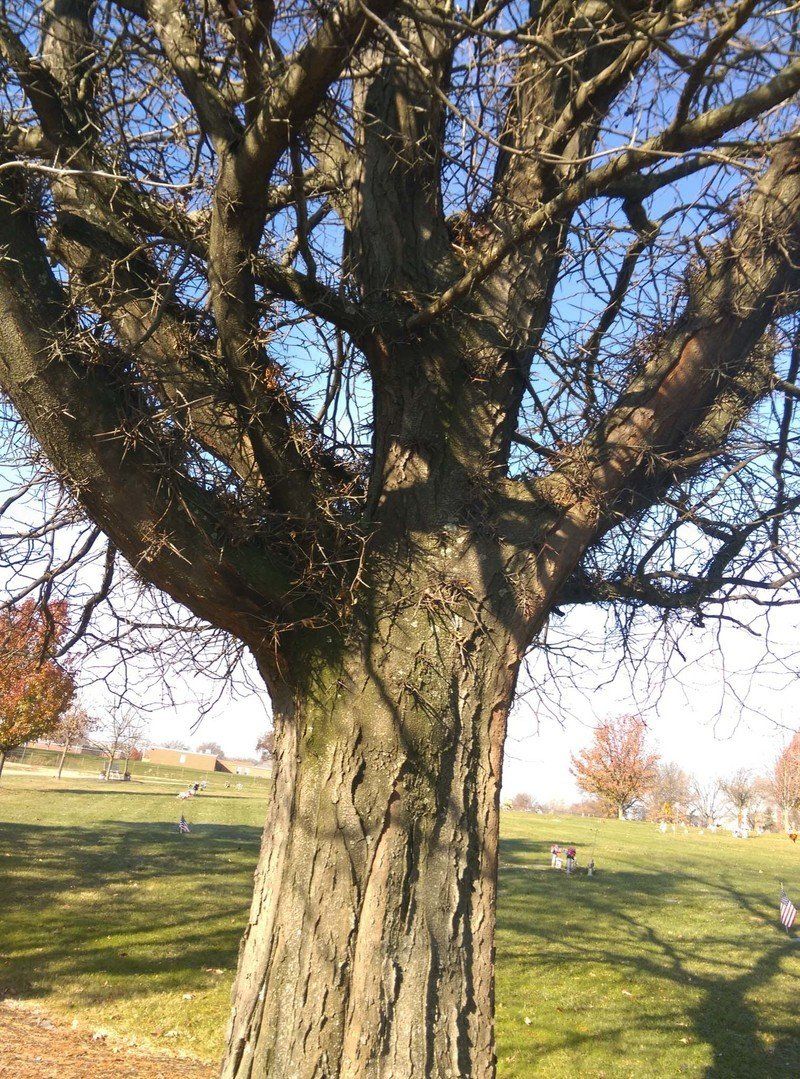 HTC Desire Eye rear camera sample