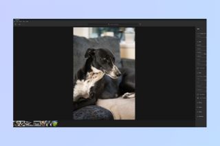 A screenshot showing how to copy and paste edits in Adobe Lightroom