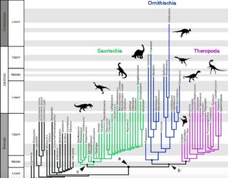 New dinosaur family tree