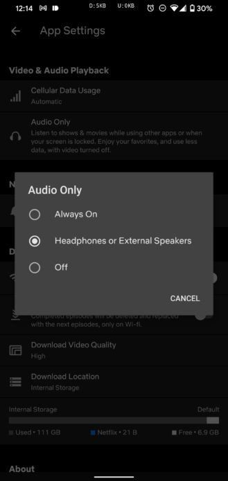 Netflix Audio Only Mode