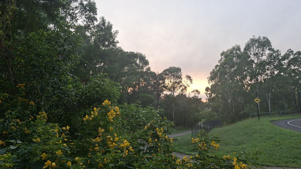 Samsung Galaxy A56 camera samples