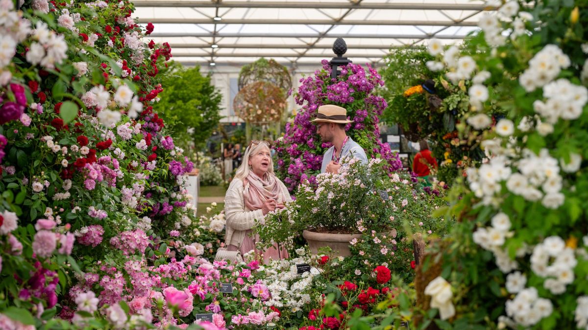 An essential mini guide for the RHS Chelsea Flower Show 2026 | The Week