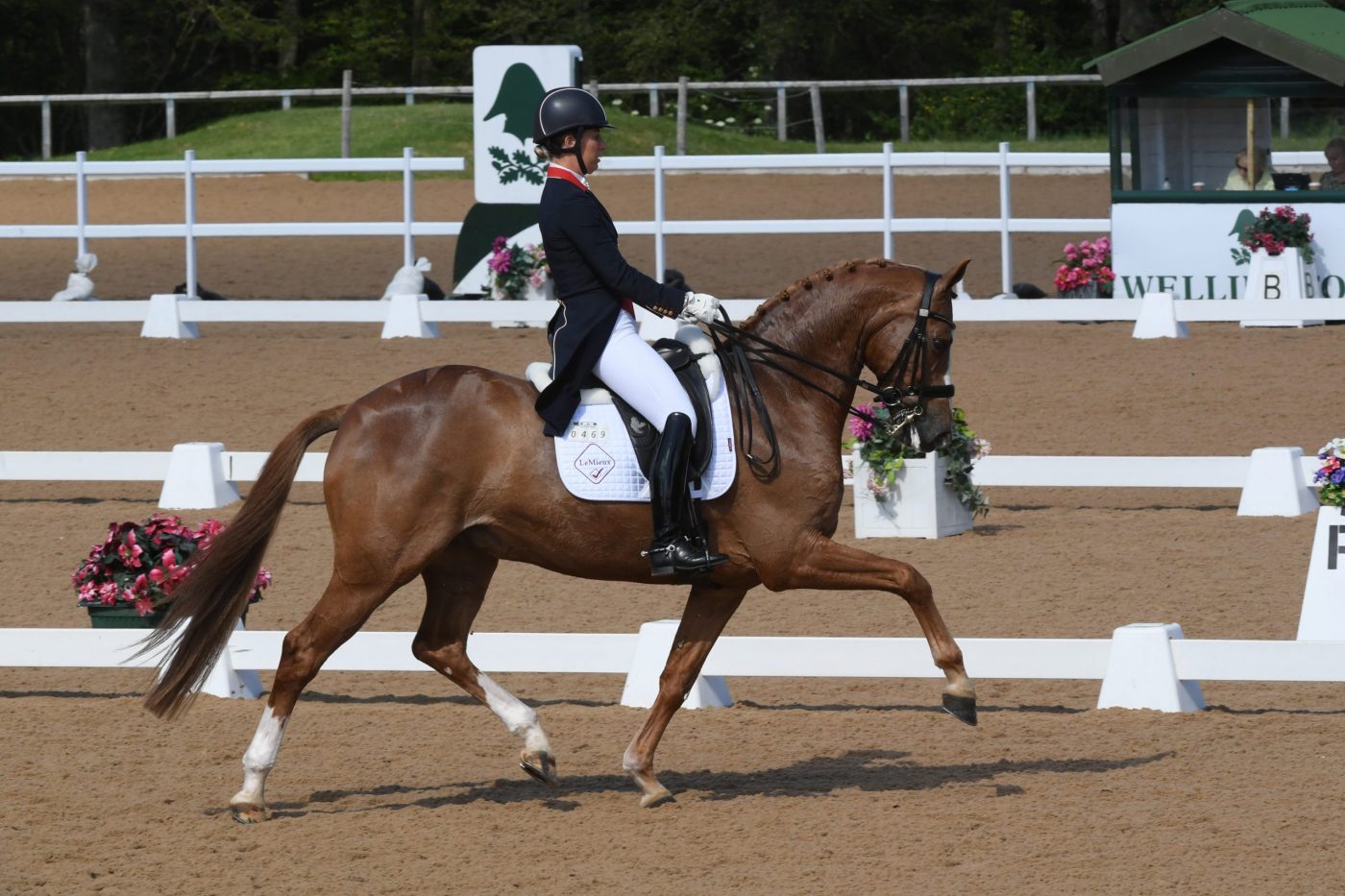 Charlotte Dujardin birthday CHARLOTTE DUJARDIN - GIO