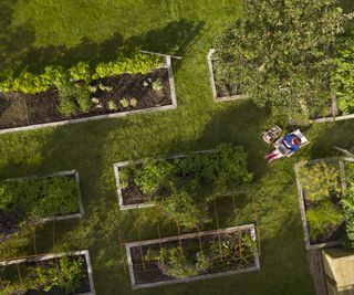 A person relaxing in a backyard vegetable garden viewed from above