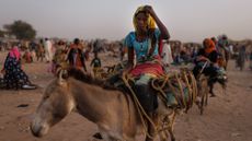 A woman displaced from Sudan's Darfur region sits on a donkey at a refugee settlement over the border in Adre, Chad