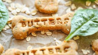 Spinach, carrot, and zucchini DIY vegan dog treats